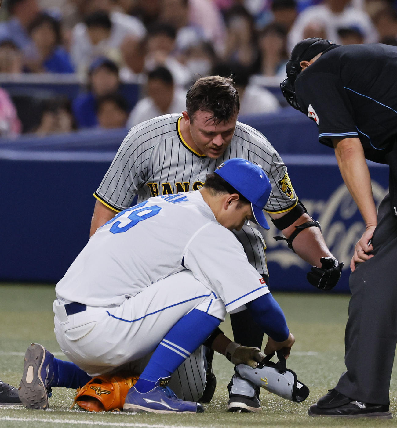 中日対阪神　7回表阪神無死一塁、ビーズリーのすね当てを付けてあげる中日宇佐見（撮影・藤尾明華）