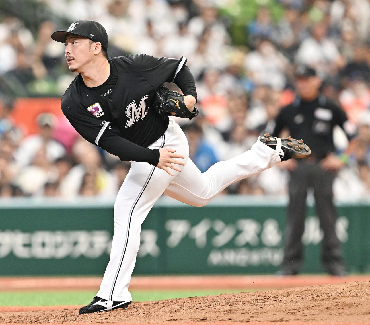 ロッテ美馬学（2023年9月16日撮影）