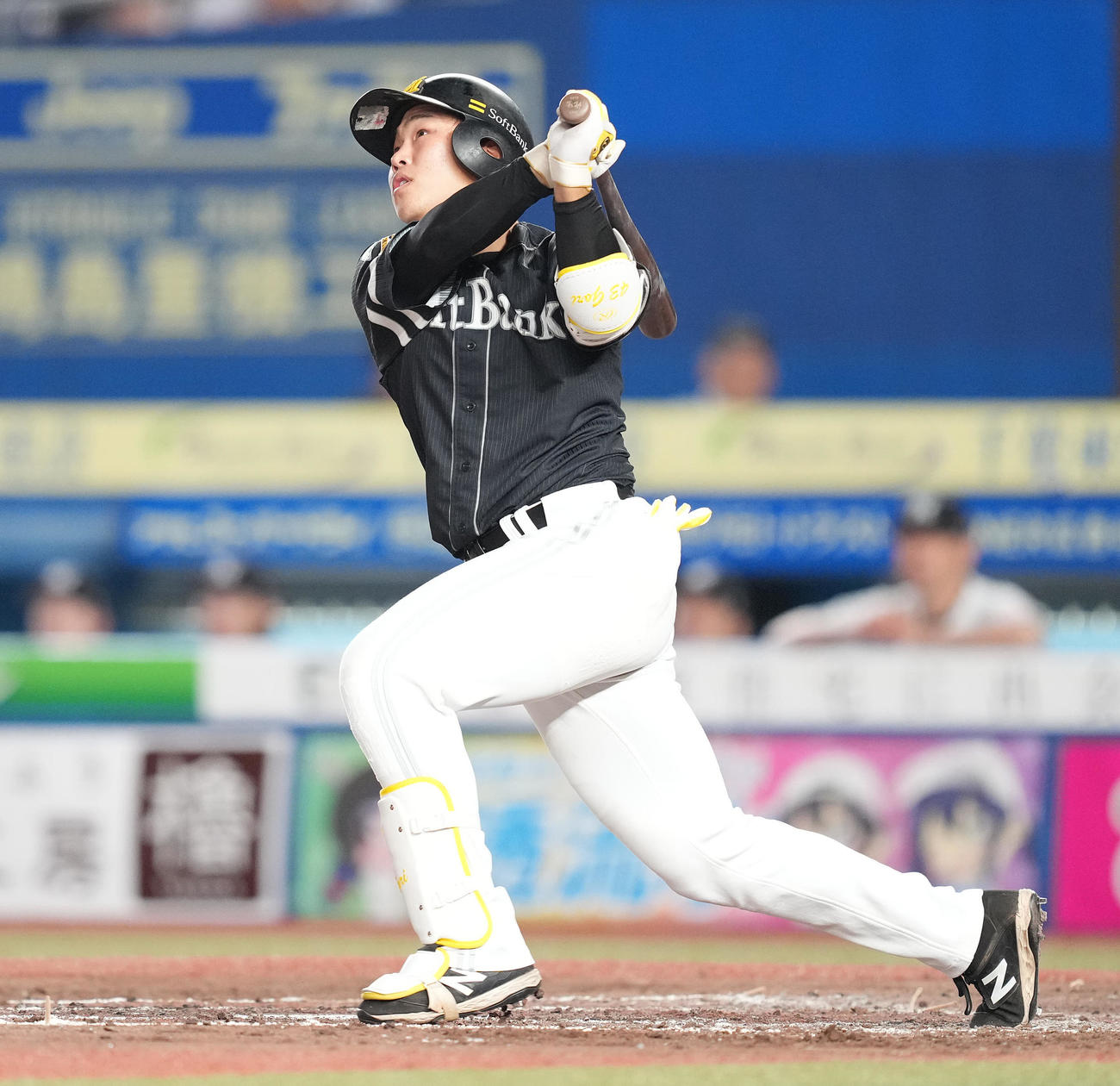 ロッテ対ソフトバンク　5回表ソフトバンク無死、左越えにプロ初本塁打を放つ井上（撮影・鈴木みどり）