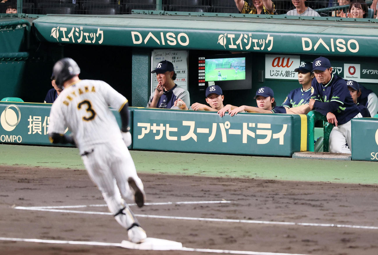 阪神対ヤクルト　4回裏阪神1死二塁、高津監督は左越え2点本塁打を放った大山がベースをまわる中、じっとグラウンドを見つめる（撮影・加藤哉）