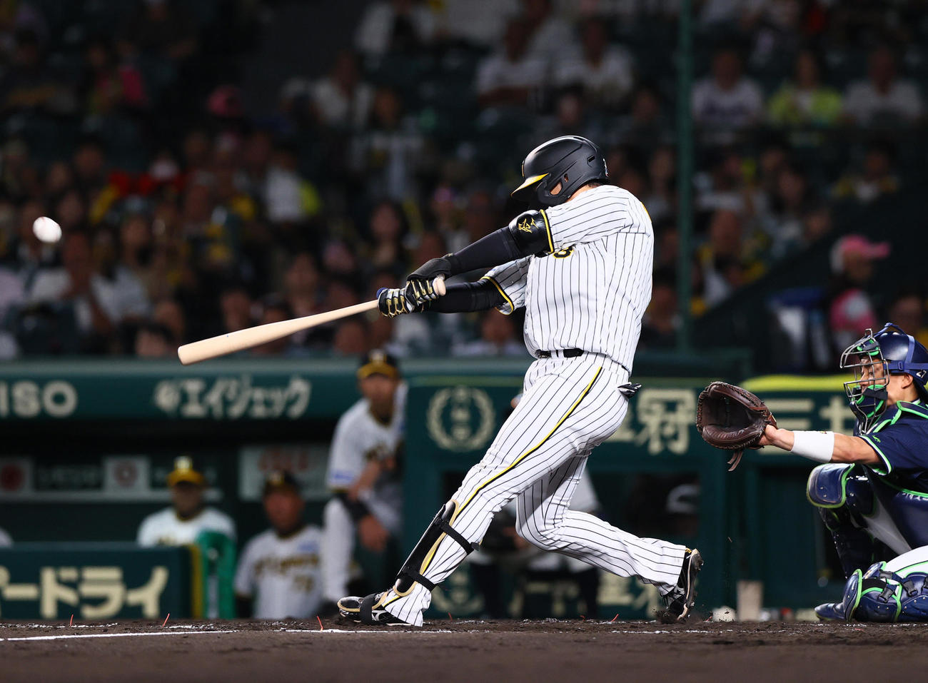 阪神対ヤクルト　4回裏阪神1死二塁、大
山は先制の左越え2点本塁打を放つ（撮影・上山淳一）
