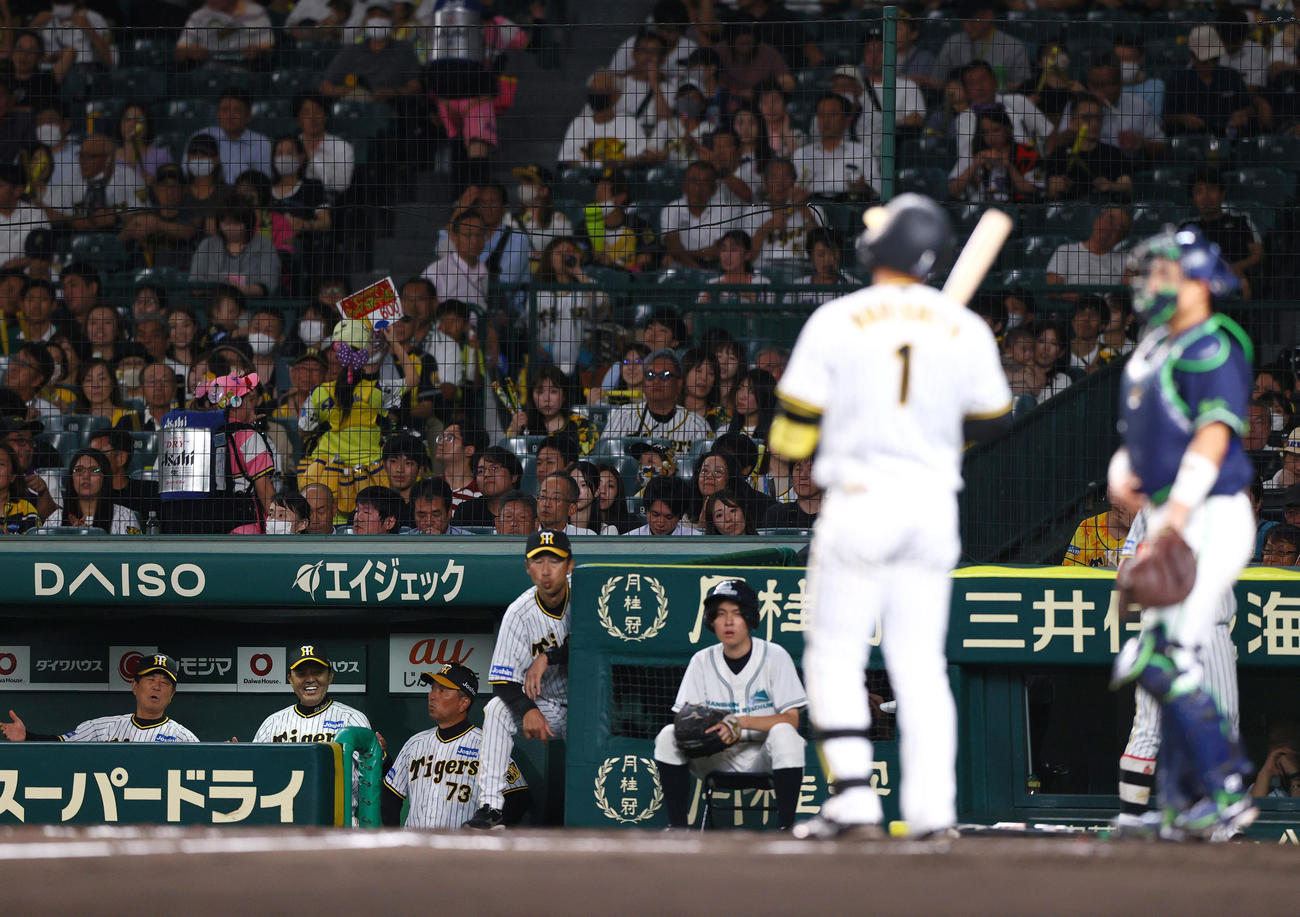 阪神対ヤクルト　8回裏阪神1死、打者森下の時、球審の判定に不満の表情を見せるも、すぐさま笑顔を見せる岡田監督（左から2人目）（撮影・上山淳一）