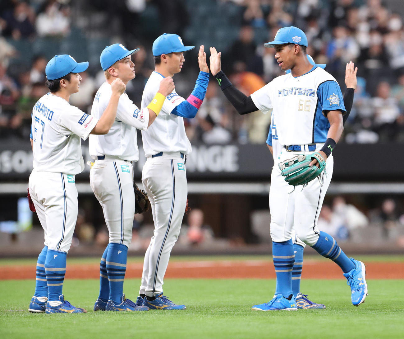 日本ハム対ロッテ　ロッテに勝利しナインと喜び合う万波（右）（撮影・佐藤翔太）