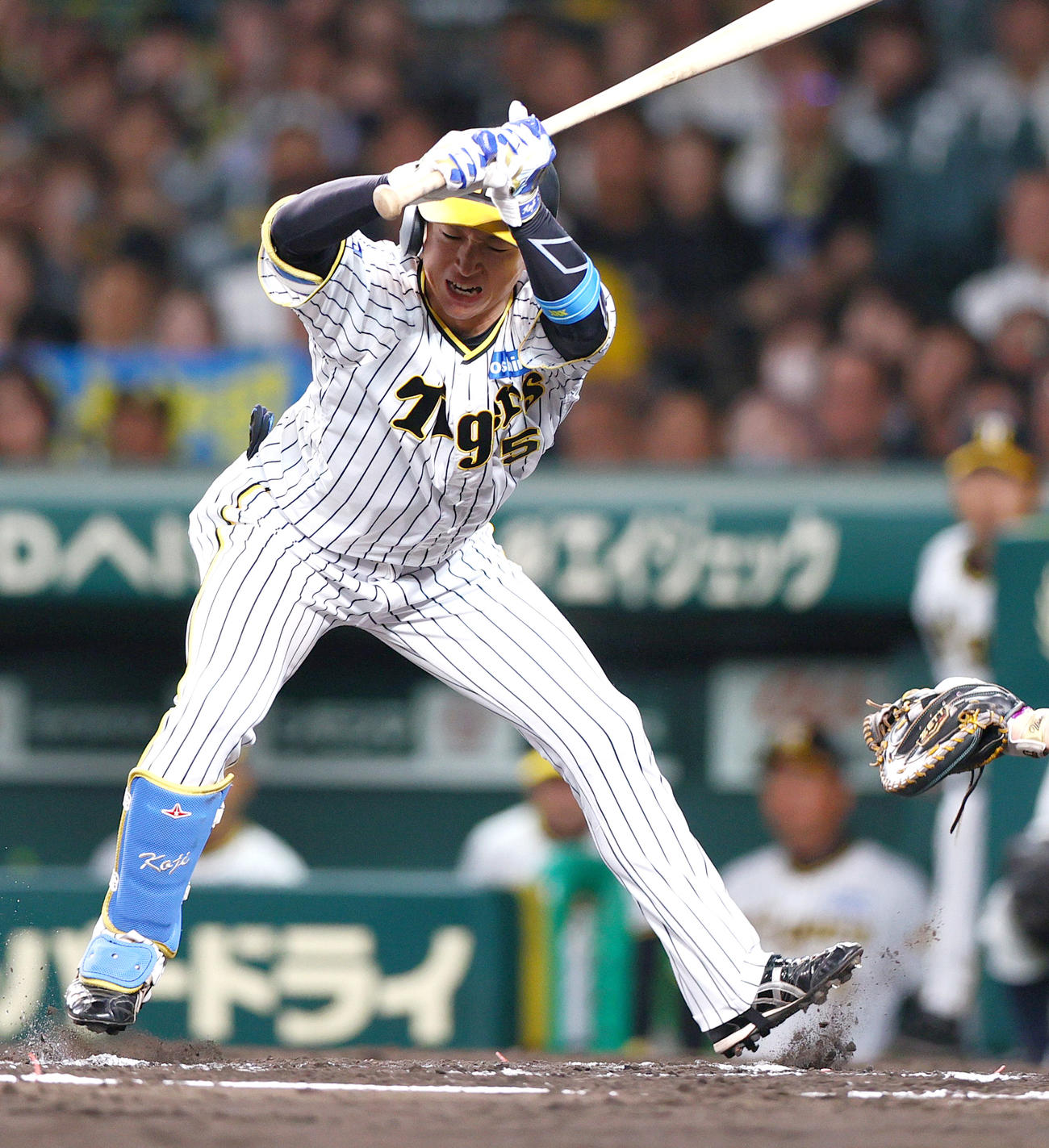 阪神対中日　7回裏阪神無死一塁、近本は死球を受ける（撮影・上山淳一）