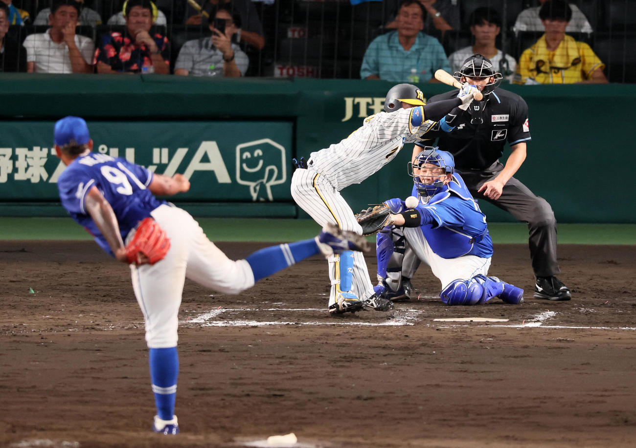 阪神対中日　7回裏阪神1死二塁、近本は死球を受ける。投手はメヒア（撮影・加藤哉）