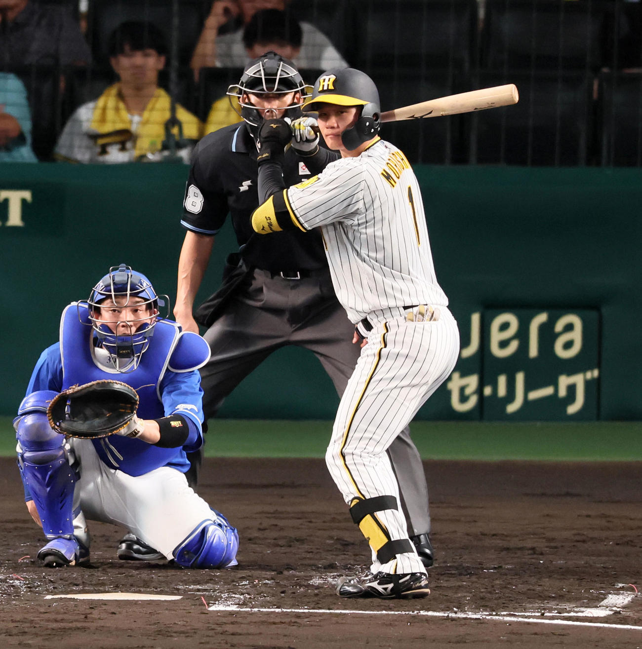 阪神対中日　4回裏阪神1死、森下の構え（撮影・加藤哉）