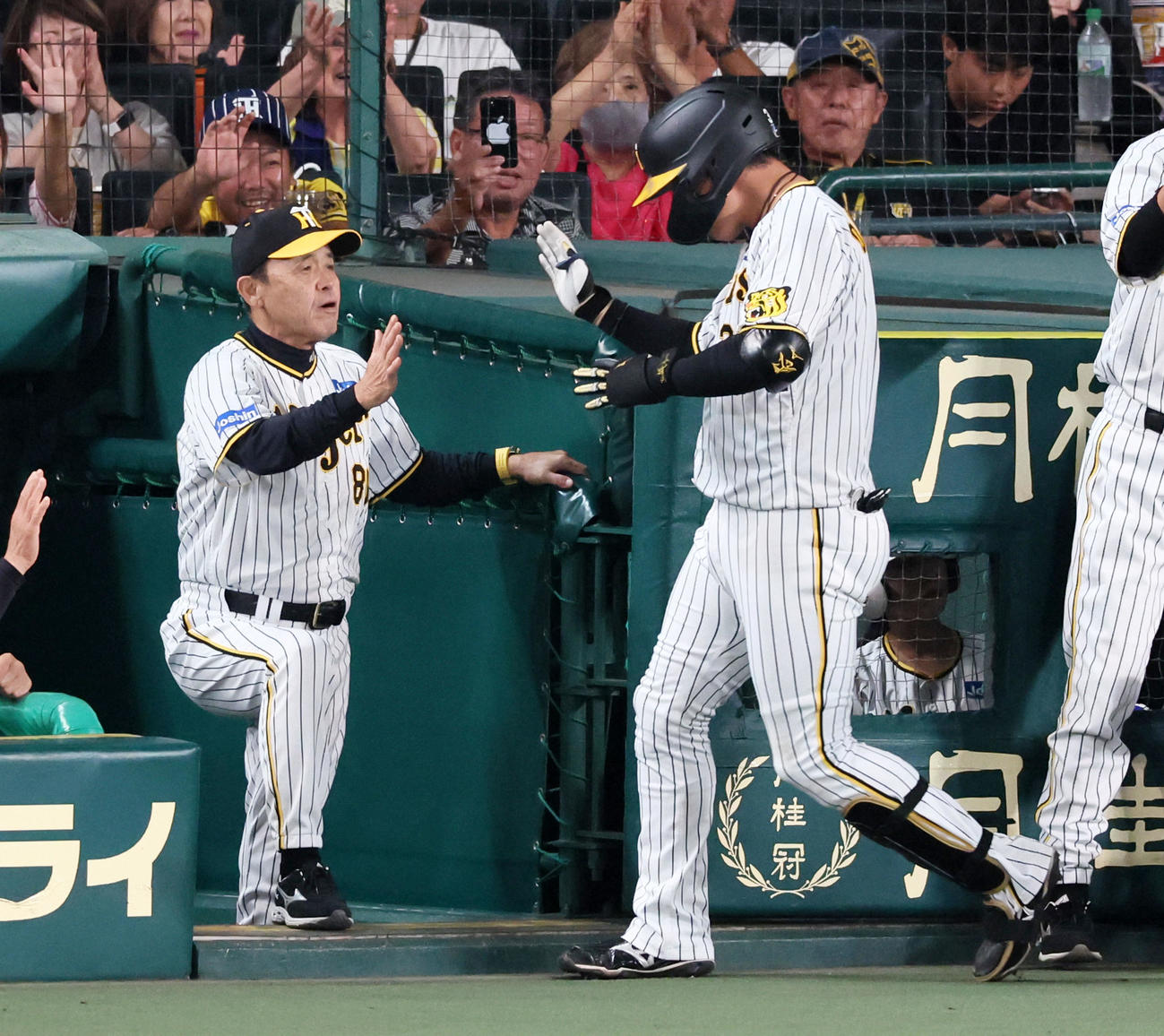 阪神対中日　4回裏阪神1死一塁、岡田監督（左）は左越え2点本塁打を放った大山をタッチで迎える（撮影・加藤哉）