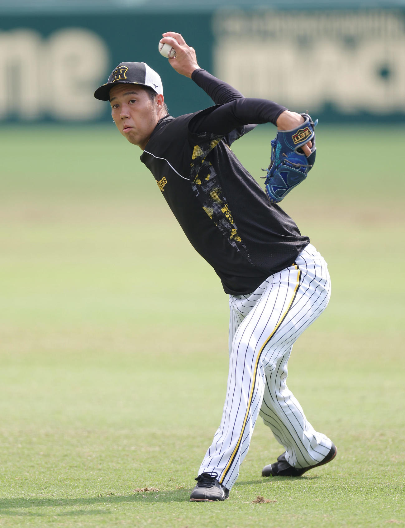キャッチボールで調整する阪神青柳（撮影・前田充）