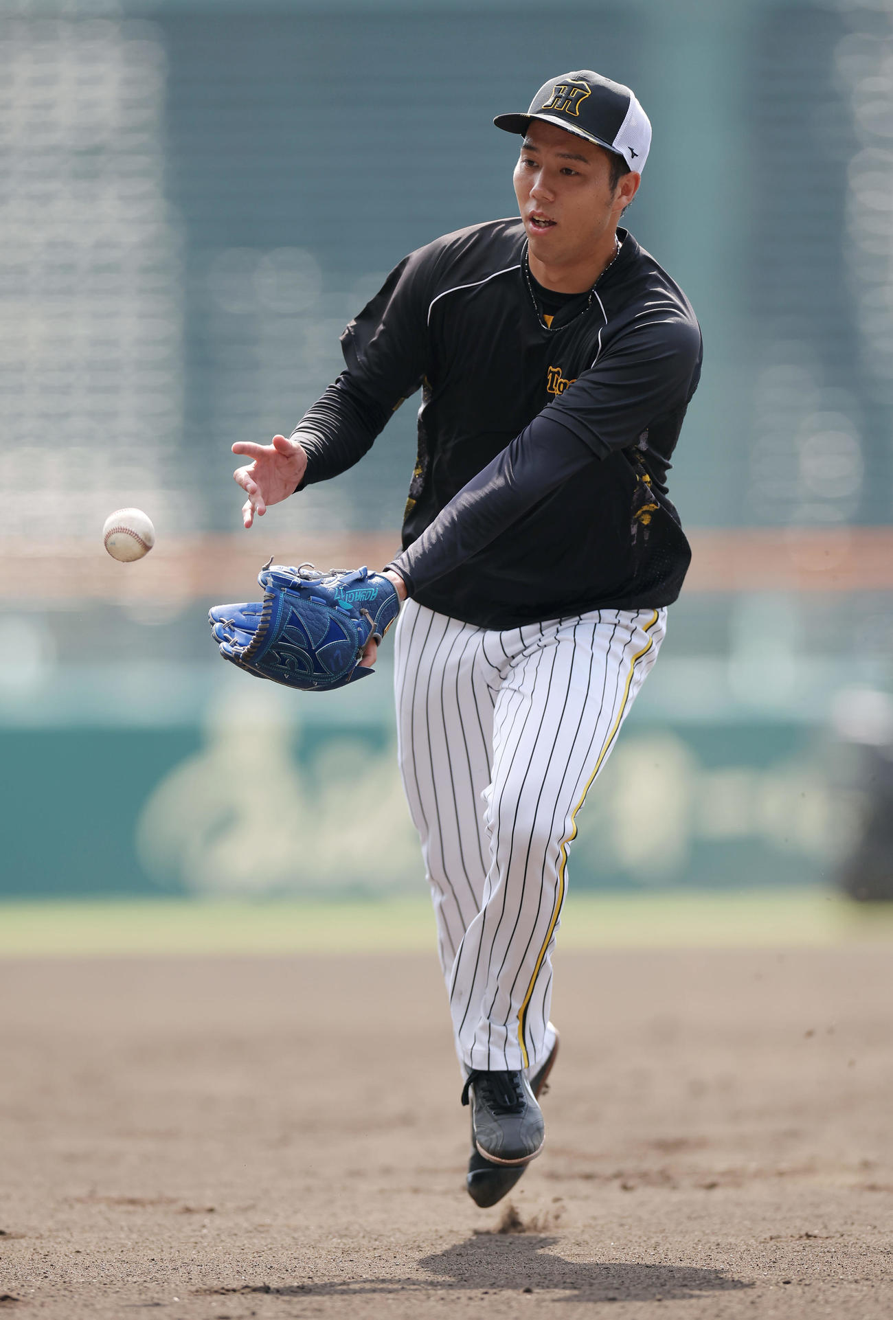 投内連係を行う阪神青柳（撮影・前田充）