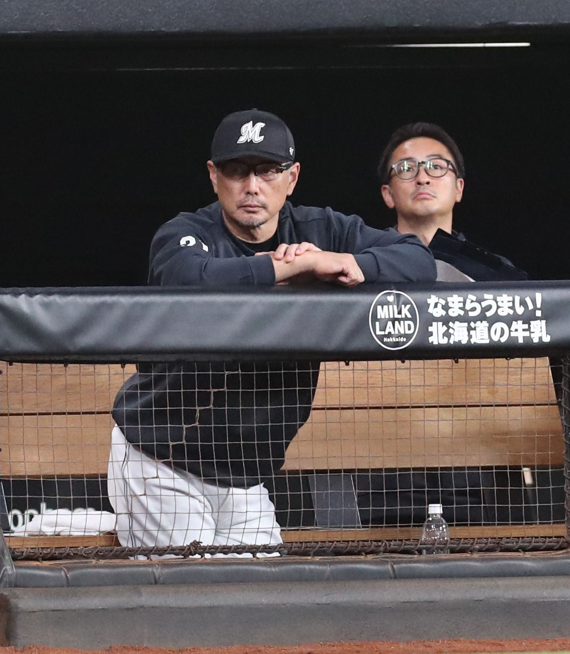 日本ハム対ロッテ　グラウンドを見つめるロッテ吉井監督（撮影・佐藤翔太）