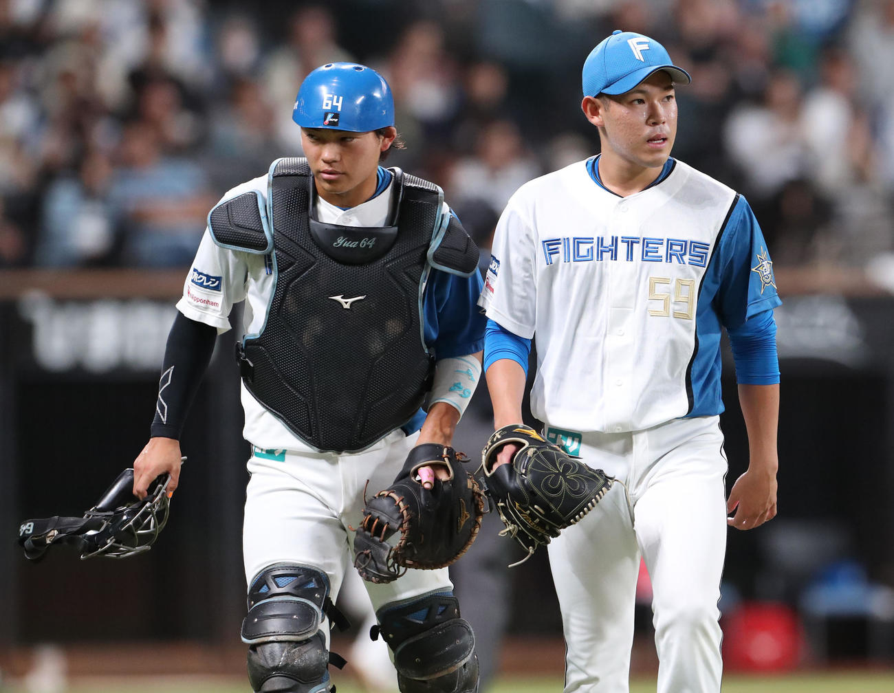 日本ハム対ロッテ　ベンチに戻る日本ハム田宮（左）と根本（撮影・佐藤翔太）