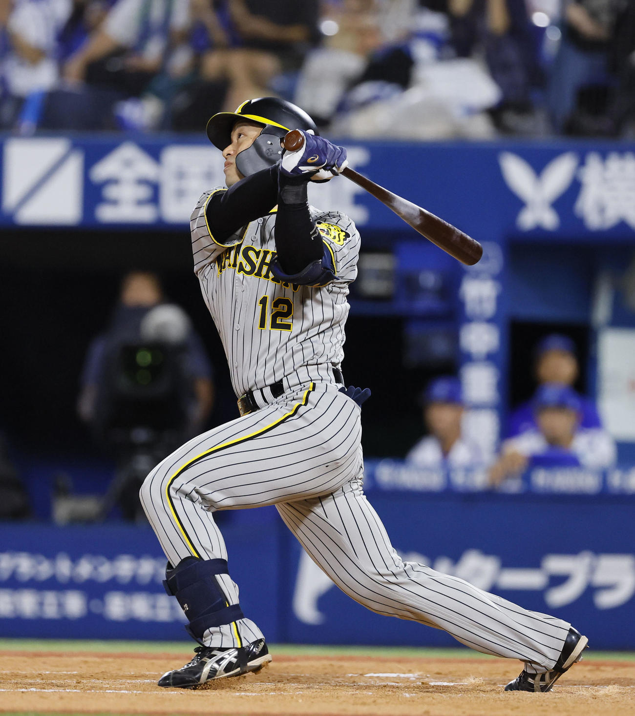 DeNA対阪神　4回表阪神1死三塁、坂本は左犠飛を放つ（撮影・藤尾明華）