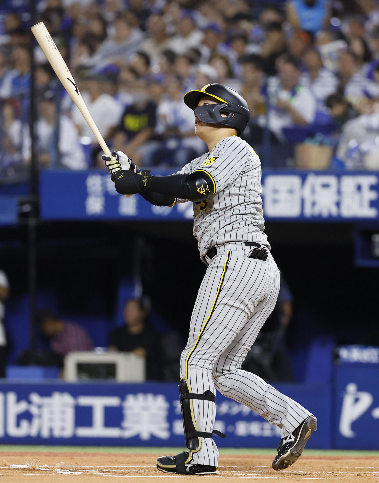 DeNA対阪神　2回表阪神無死、大山は左越えに同点本塁打を放つ（撮影・藤尾明華）