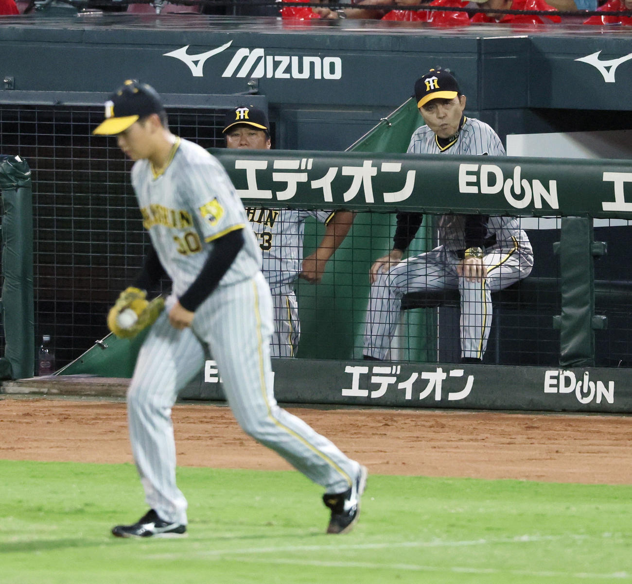広島対阪神　2回表を終えベンチからグラウンドを見る岡田監督。左はマウンドへ向かう門別（撮影・加藤哉）