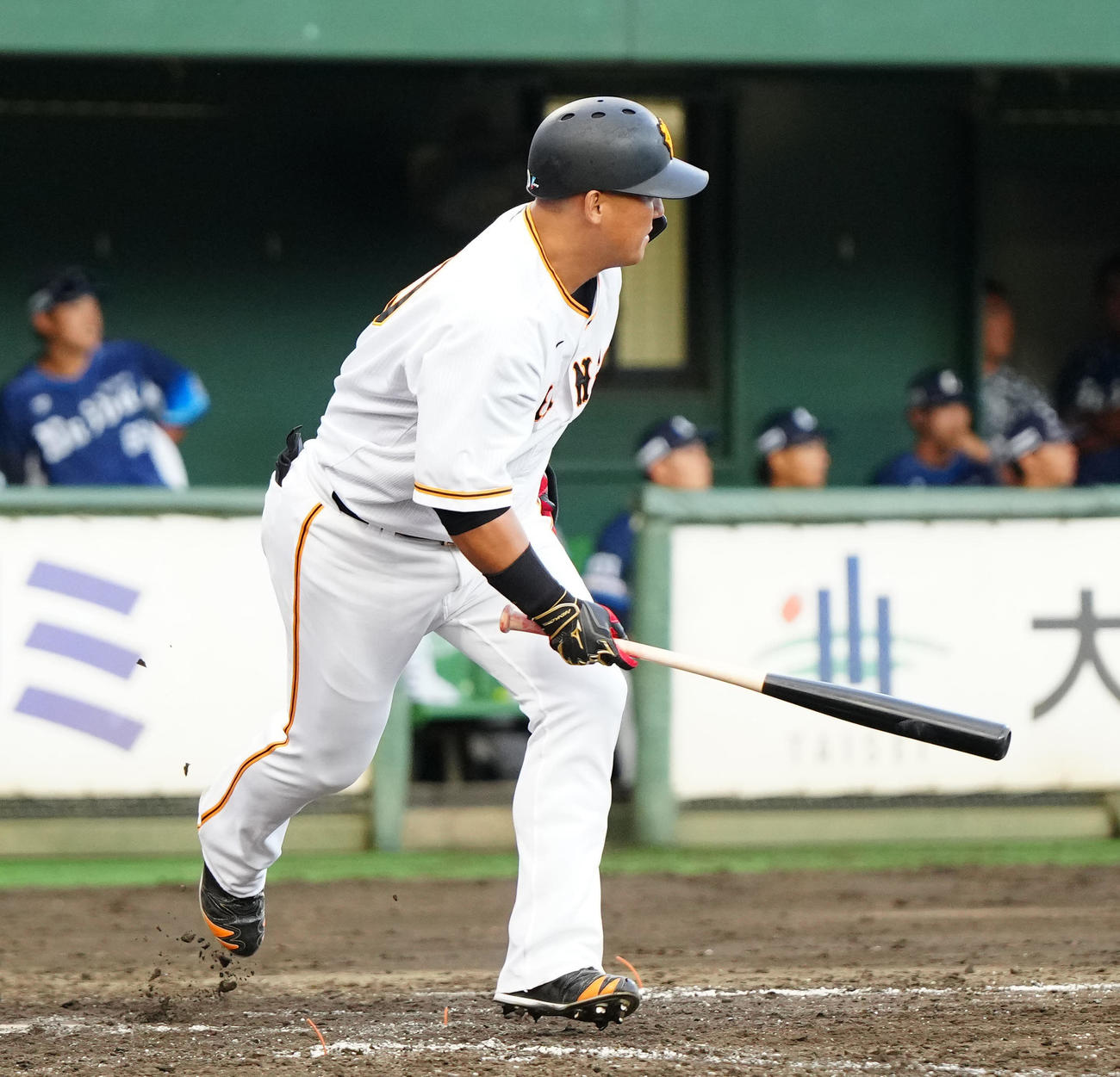 イースタン・リーグ　巨人対西武　8回裏巨人1死、左前打を放つ代打中田翔（撮影・江口和貴）