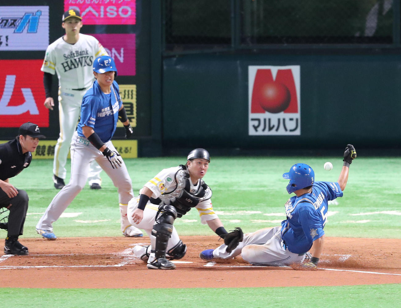 ソフトバンク対日本ハム　2回表日本ハム1死一塁、田宮の中越え先制適時二塁打で生還する野村（撮影・梅根麻紀）