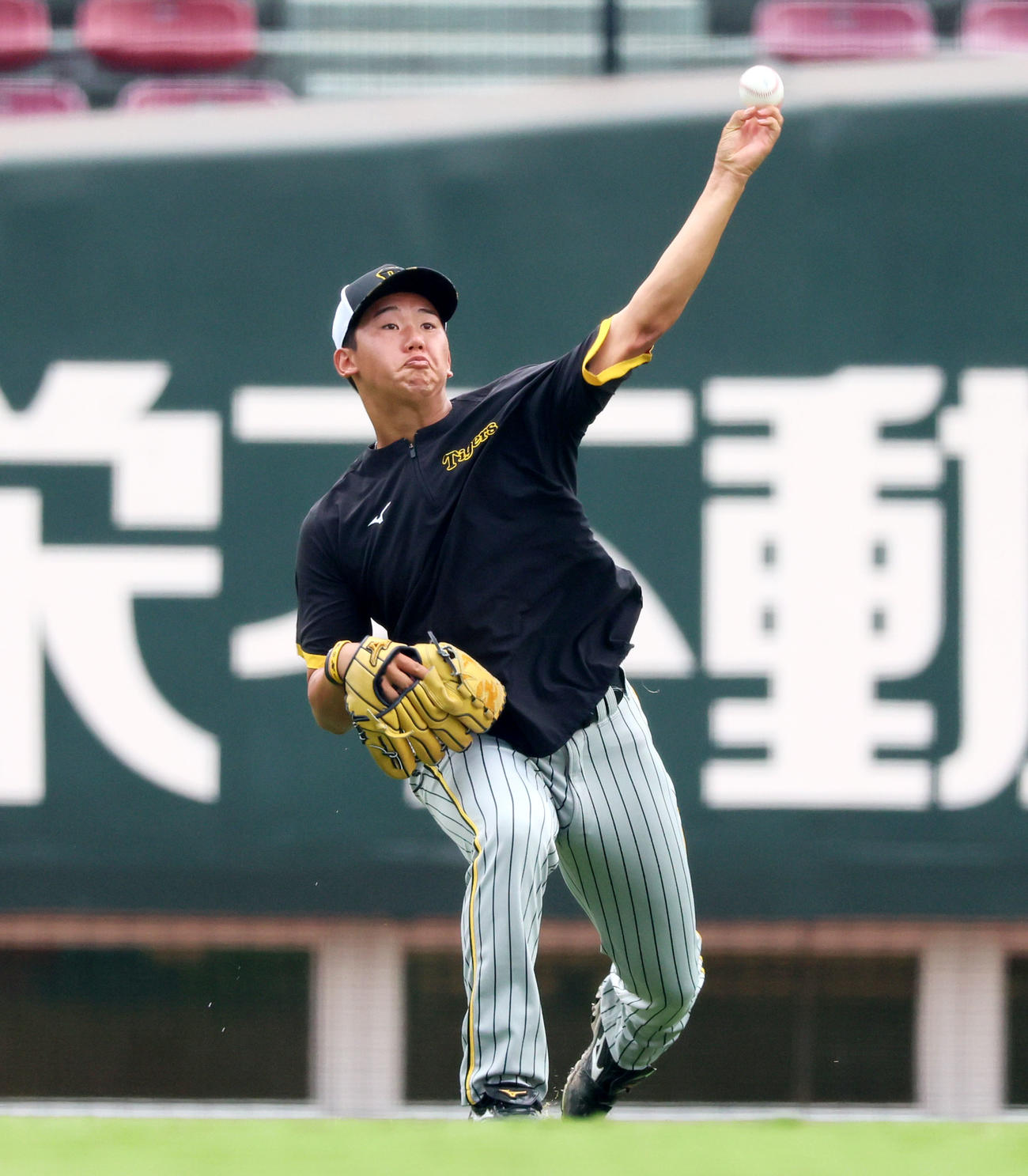 広島対阪神　練習でキャッチボールする門別（撮影・加藤哉）