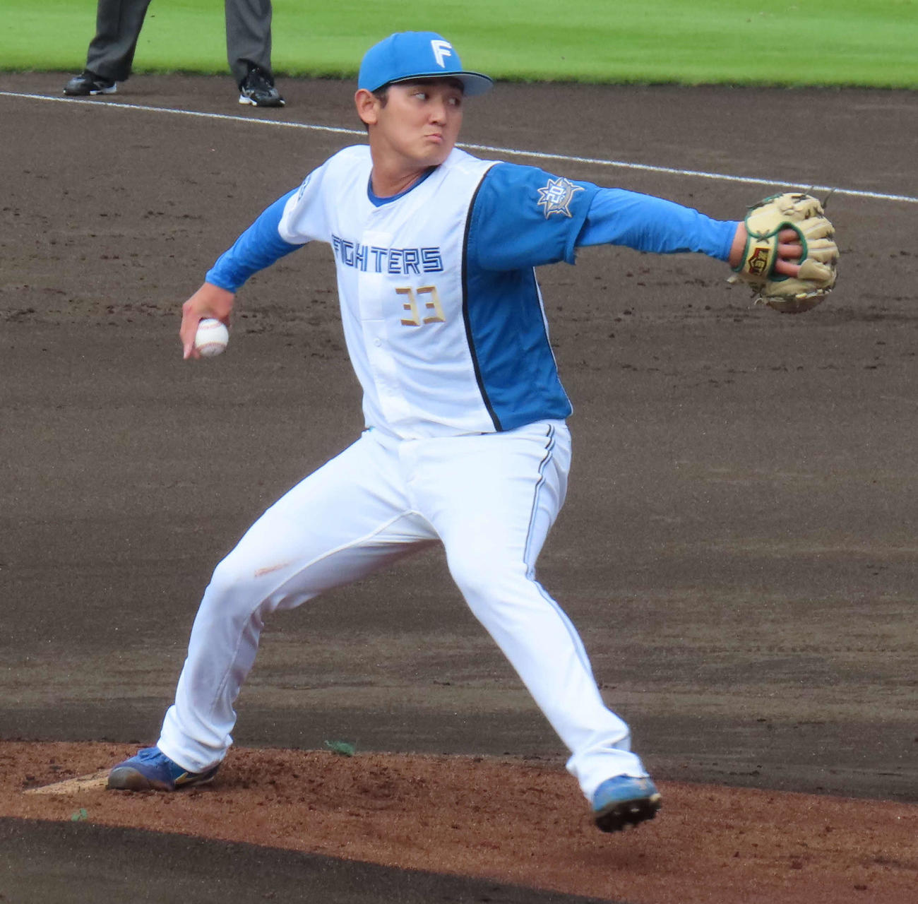 日本ハム対ヤクルト　先発した日本ハムの立野