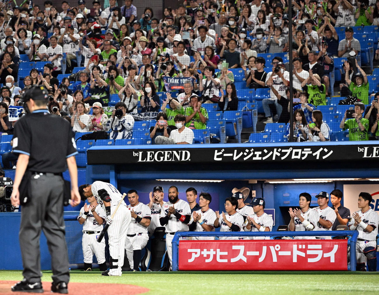 ヤクルト対DeNA 7回裏、ファンに一礼をするヤクルト荒木（撮影・たえ見朱実）