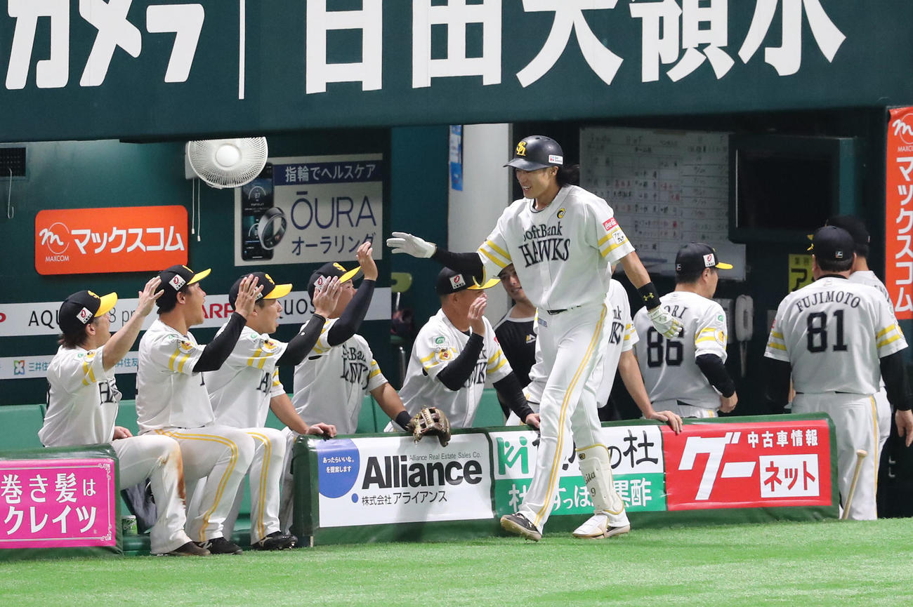 ソフトバンク対日本ハム　9回裏ソフトバンク無死、柳田は右越えに同点本塁打を放ちベンチのナインとハイタッチ（撮影・梅根麻紀）