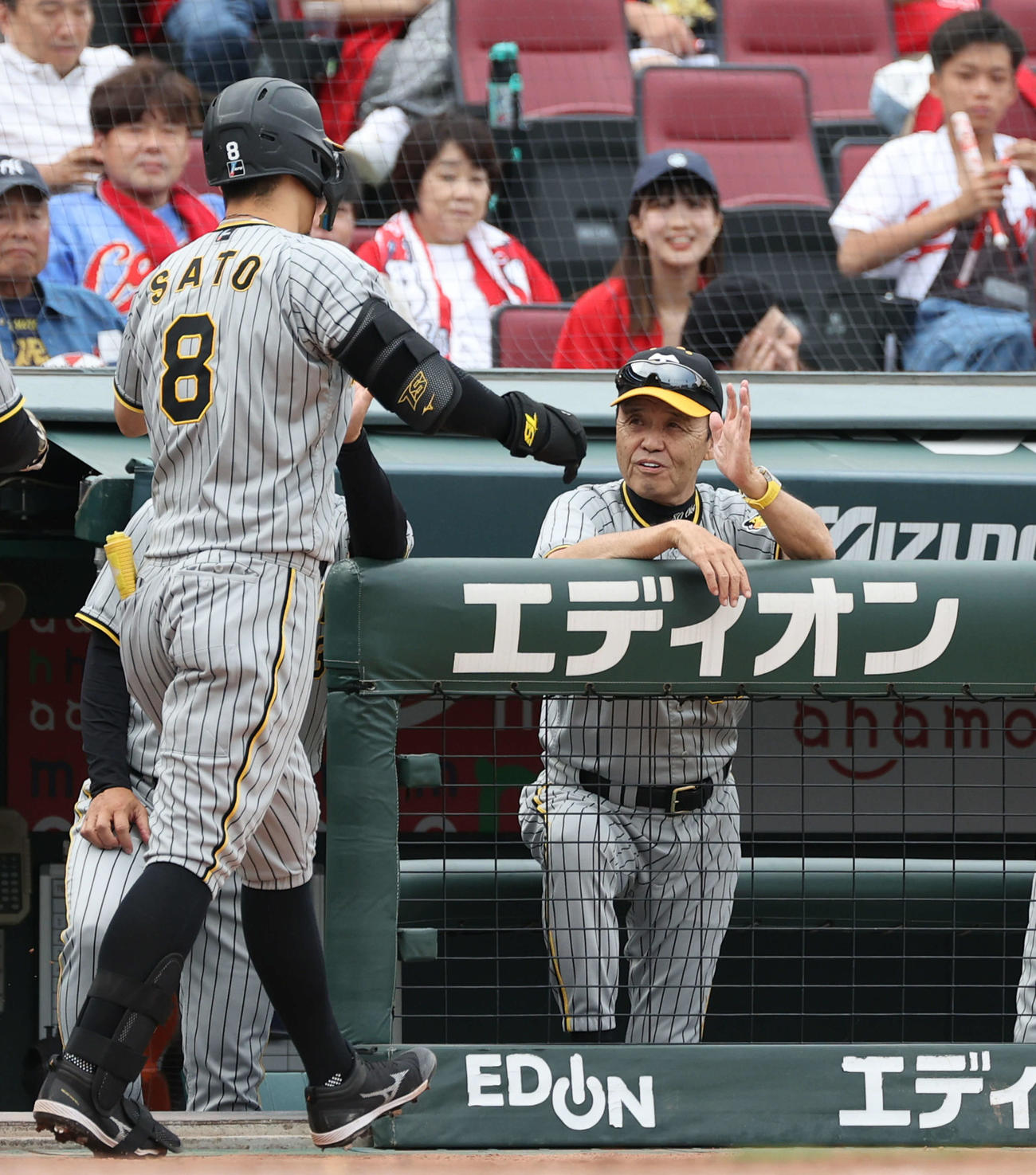 広島対阪神　5回表阪神無死一、二塁、勝ち越しの右越え3点本塁打を放った佐藤輝を迎える岡田監督（撮影・加藤孝規）