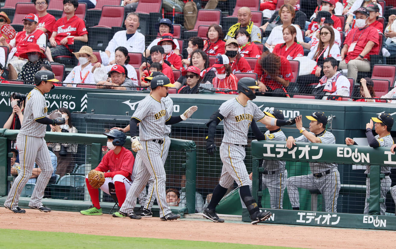 広島対阪神　5回表阪神無死一、二塁、右越え3点本塁打を放った佐藤輝はベンチの岡田監督（右）とタッチ（撮影・加藤哉）