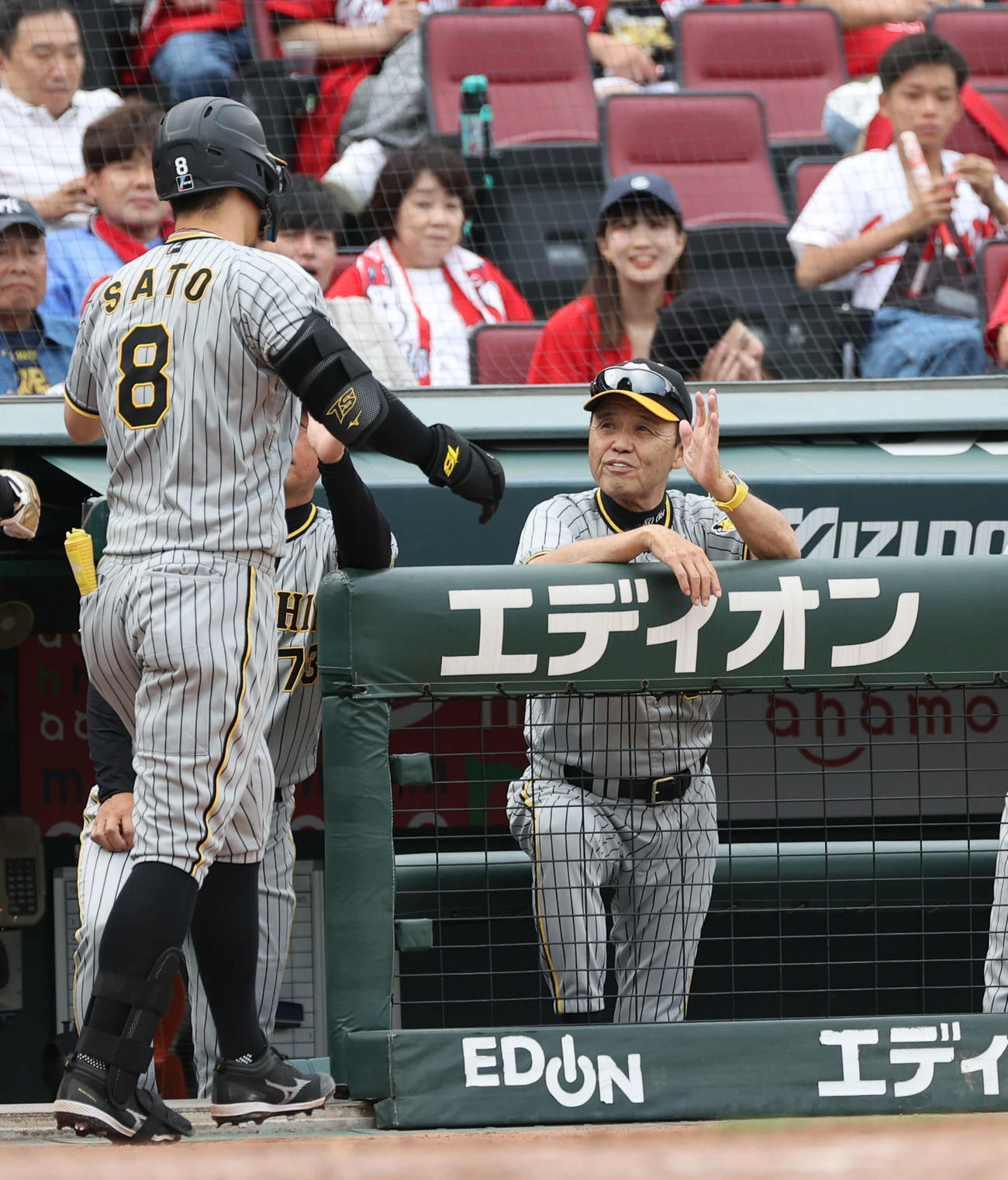 広島対阪神　5回表阪神無死一、二塁、勝ち越しの右越え3点本塁打を放った佐藤輝を迎える岡田監督（撮影・加藤孝規）