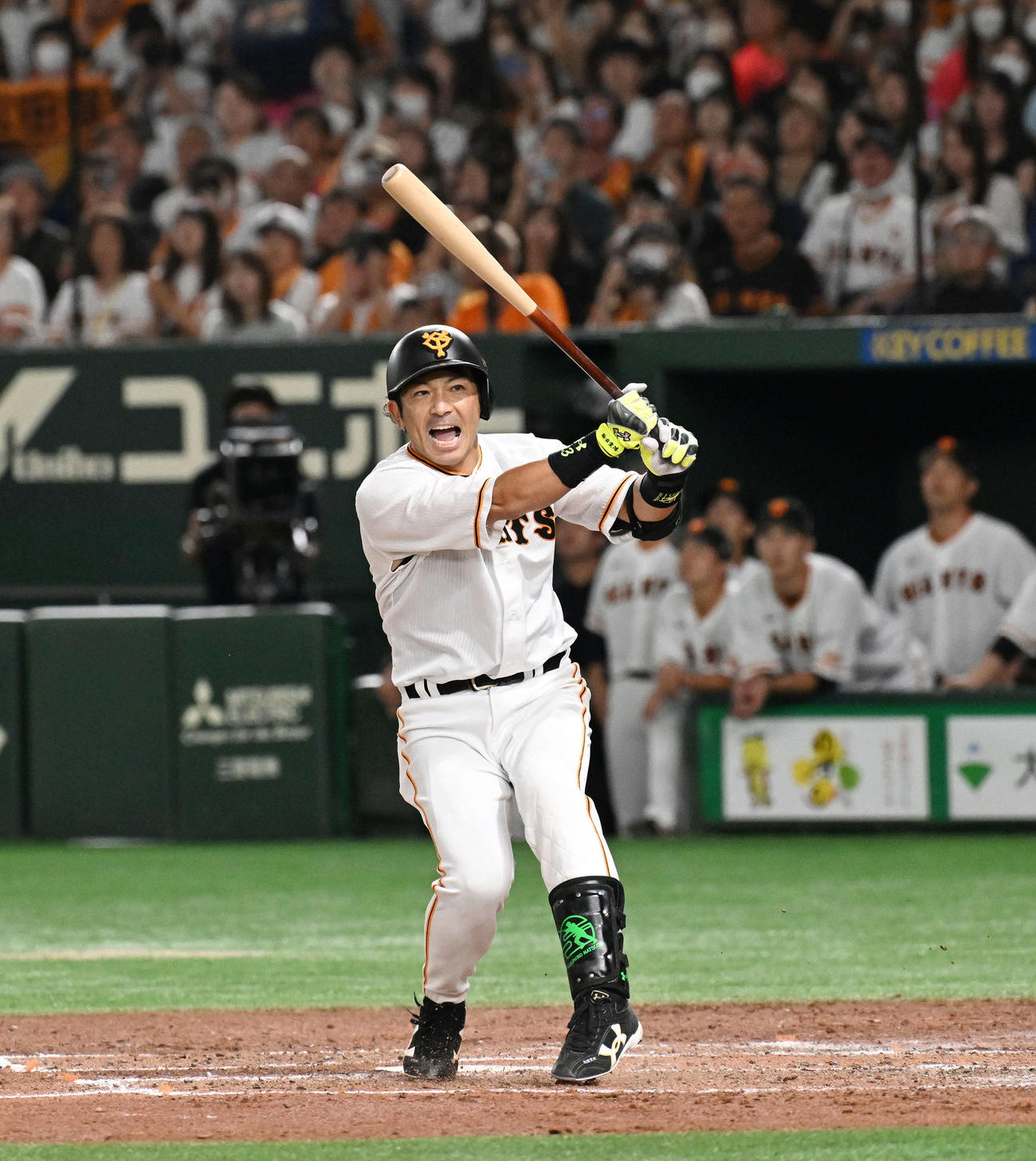 巨人対ヤクルト　5回裏巨人無死、ファウルで粘る松田（撮影・滝沢徹郎）