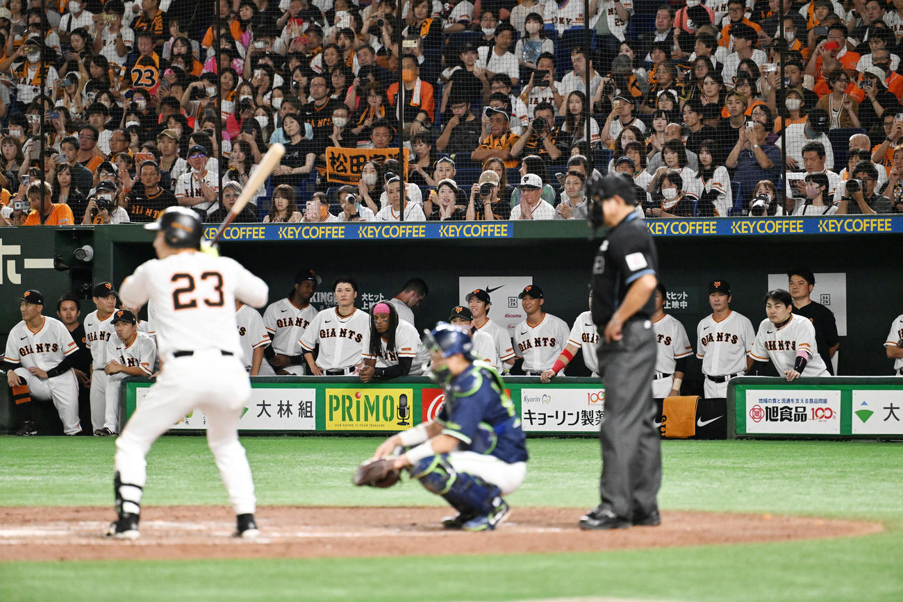 巨人対ヤクルト　5回裏巨人無死、打席の松田をベンチから見守る選手たち（撮影・滝沢徹郎）