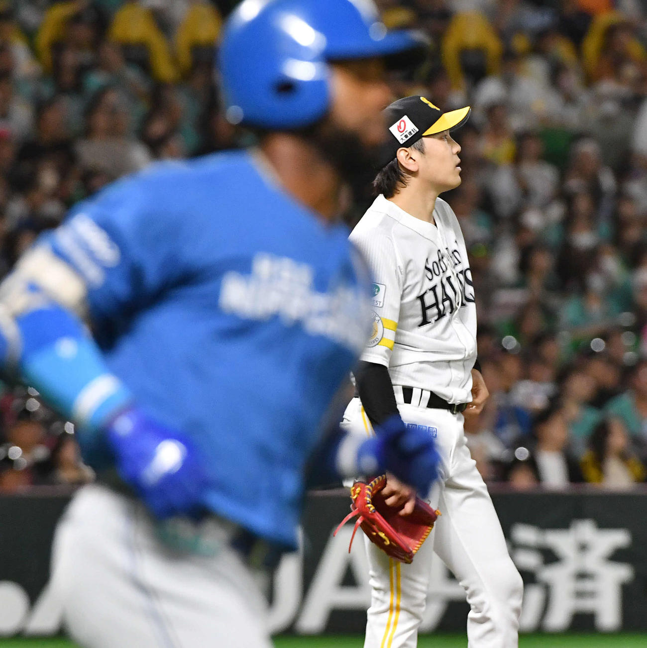 ソフトバンク対日本ハム　2回表日本ハム無死、アルカンタラ（左）に先制の右越え本塁打を打たれた石川（撮影・岩下翔太）