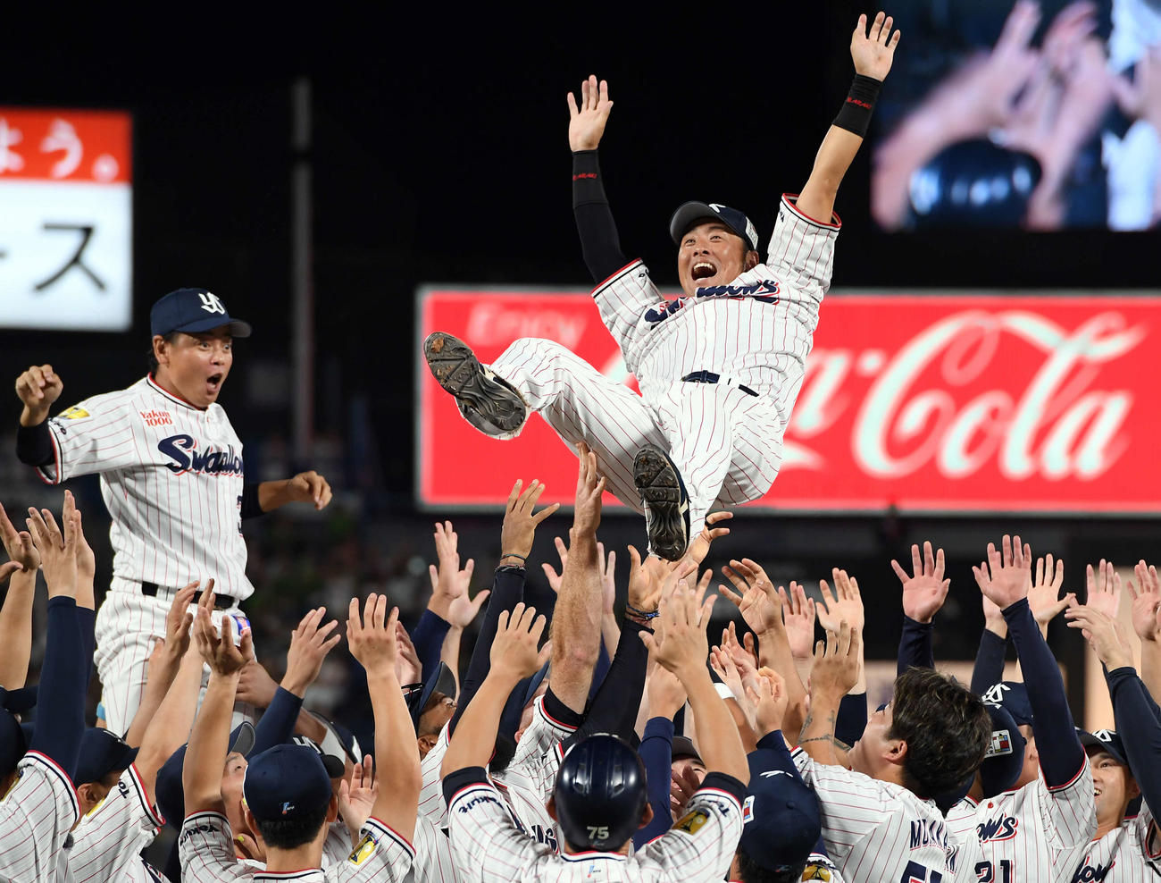 ヤクルト対DeNA　今季で引退するヤクルト荒木は、ナインから胴上げされる（撮影・たえ見朱実）