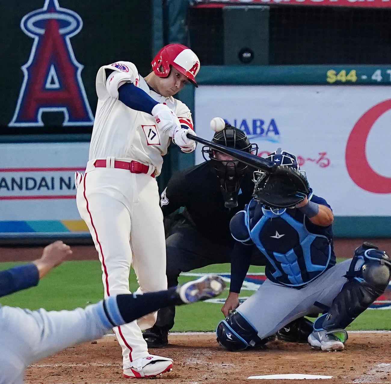 エンゼルス大谷翔平（2023年8月18日撮影）