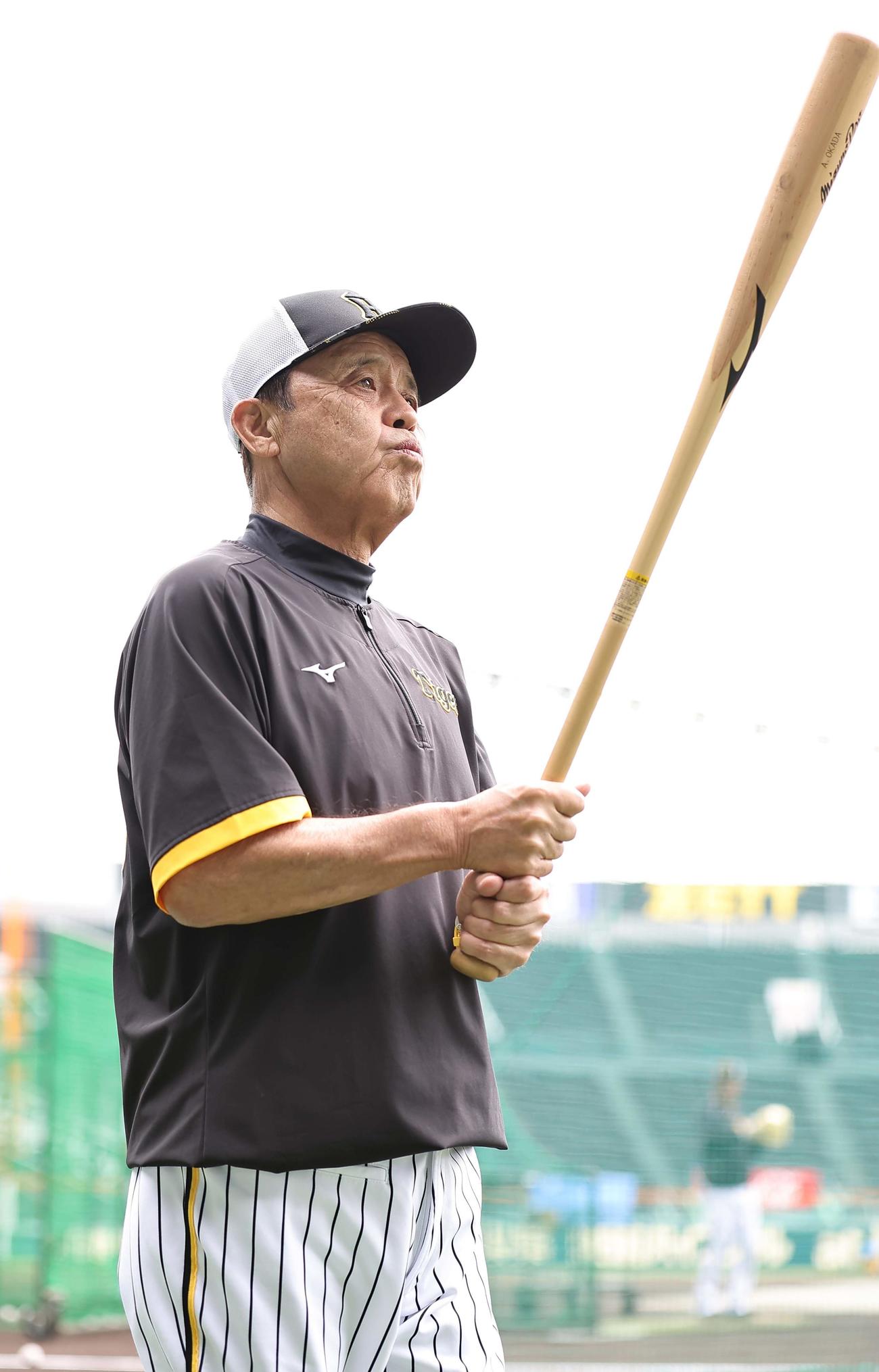 練習を見守る岡田監督（撮影・上田博志）