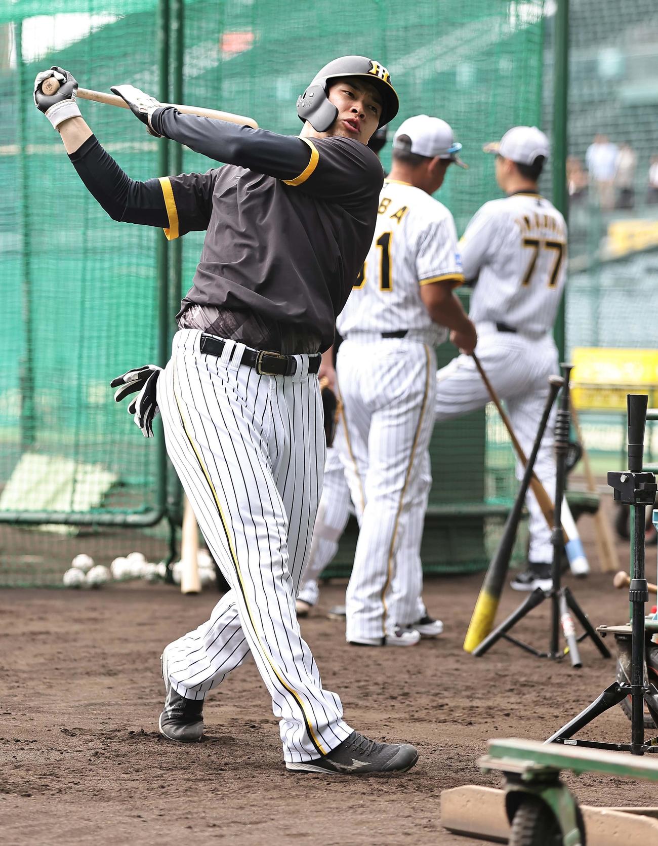 打撃練習をして汗を流す佐藤輝（撮影・上田博志）