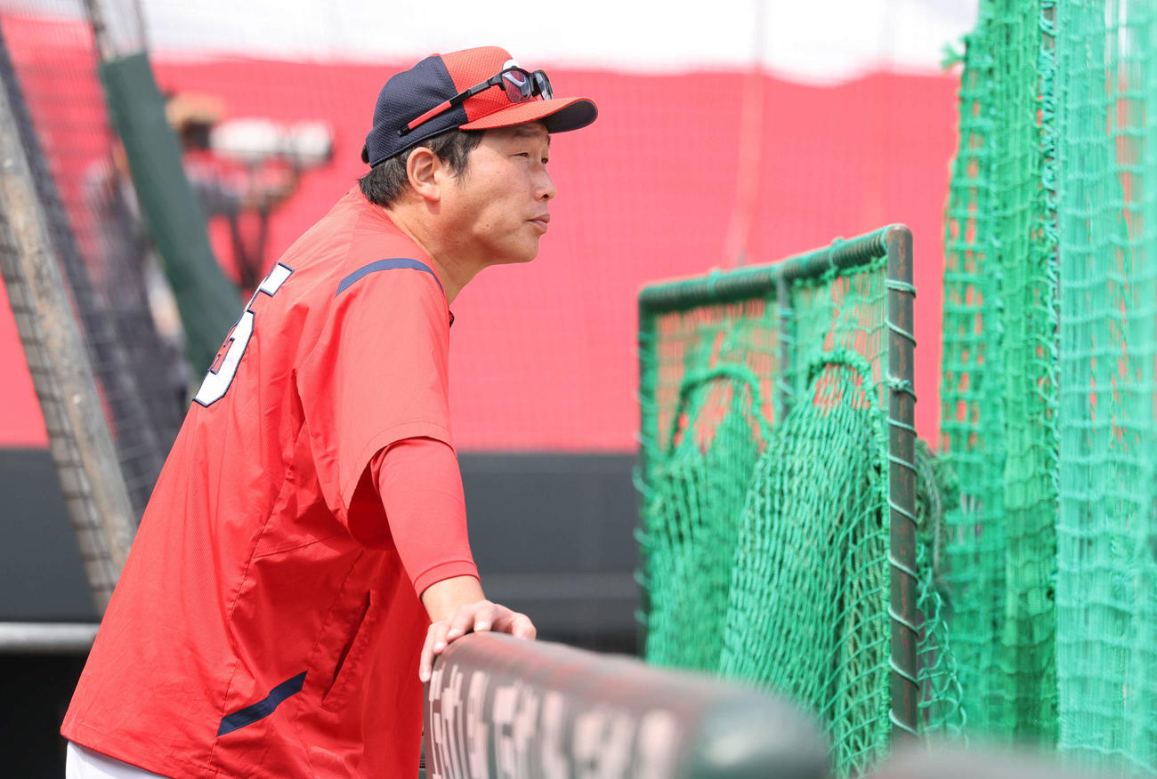 全体練習を見守る広島新井監督（撮影・加藤孝規）