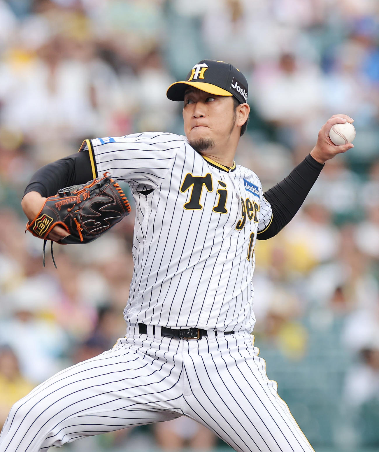 阪神岩貞祐太（2023年9月18日撮影）