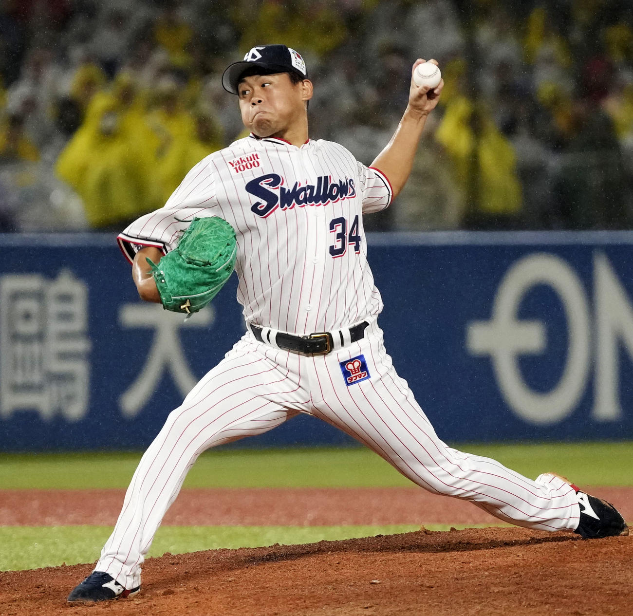 9回に登板し、3勝目を挙げたヤクルト田口（共同）