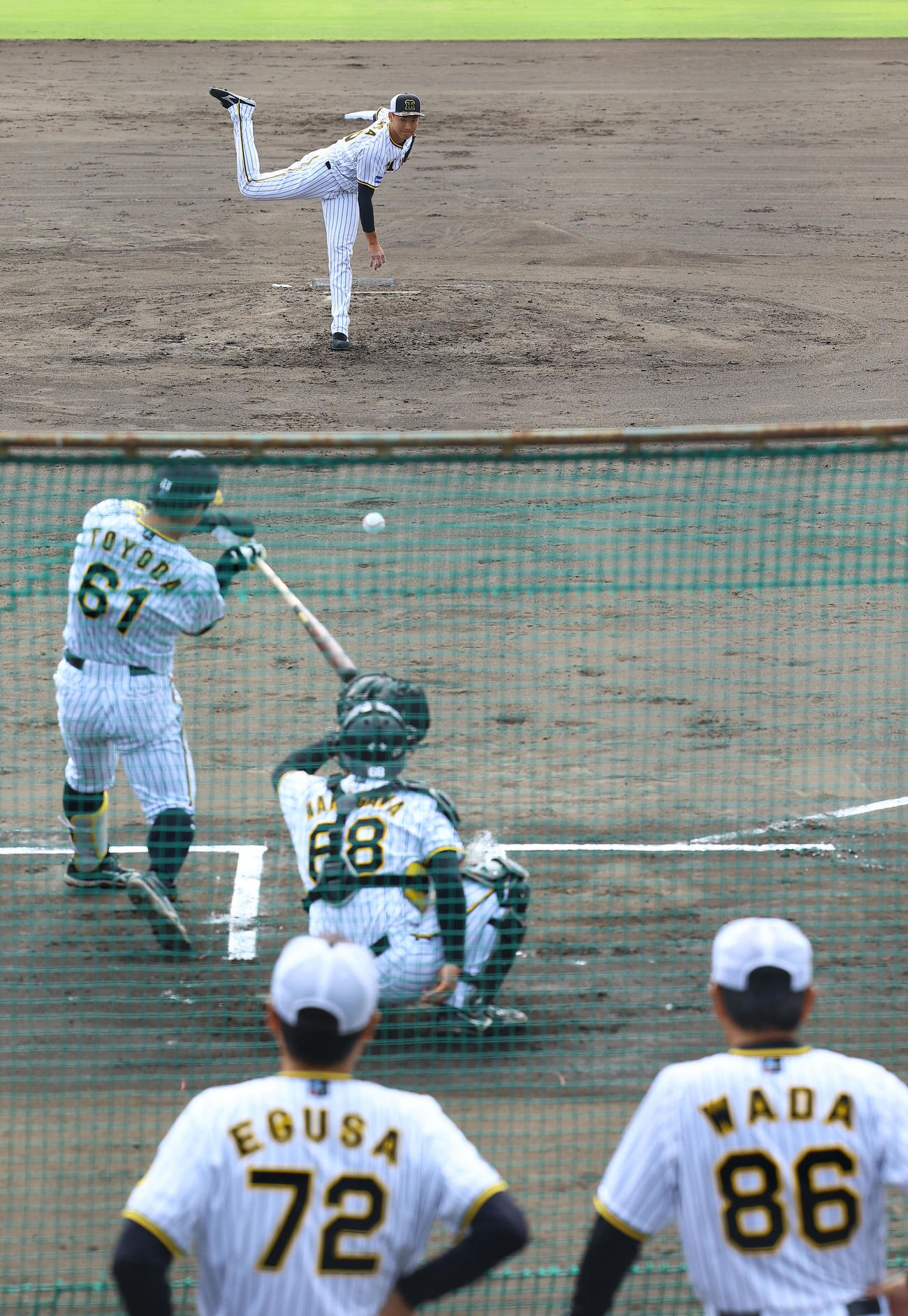 和田2軍監督（右下）らが見つめる中、シート打撃に登板した阪神湯浅（撮影・藤尾明華）