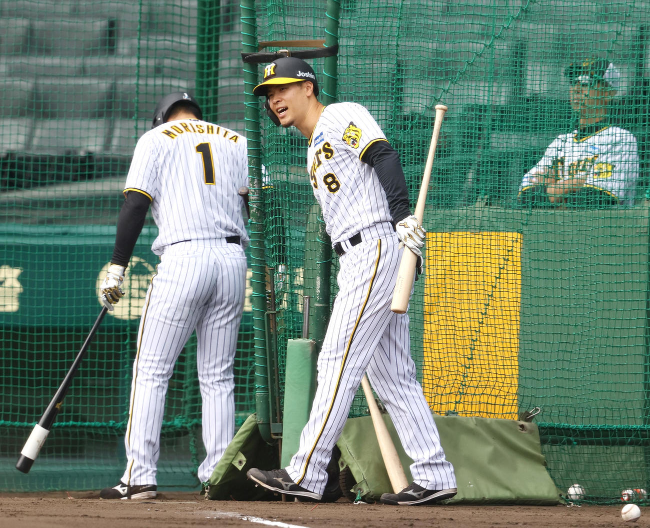 打撃練習に励む阪神佐藤輝（手前）（撮影・上山淳一）