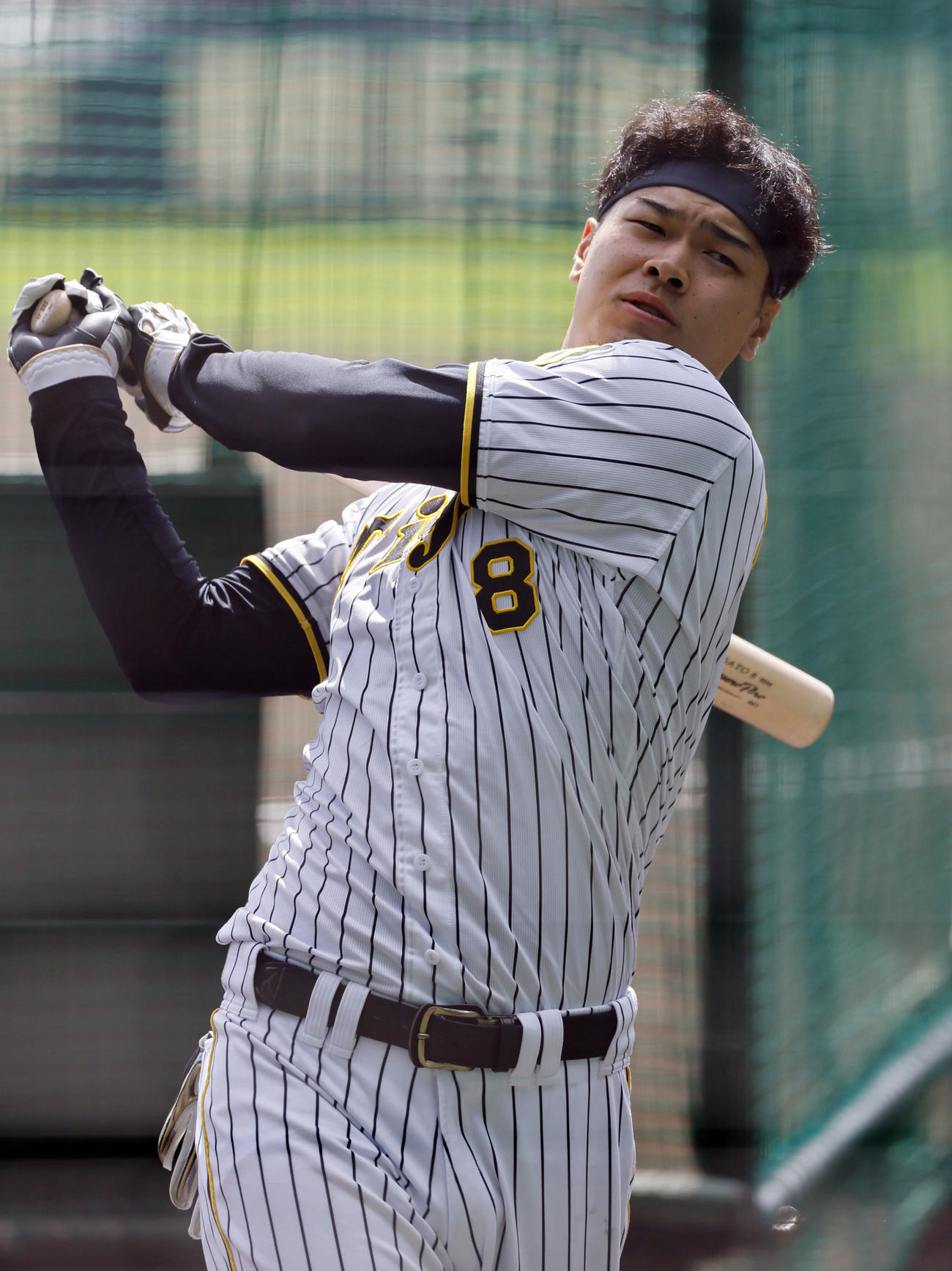 打撃練習する阪神佐藤輝（撮影・藤尾明華）