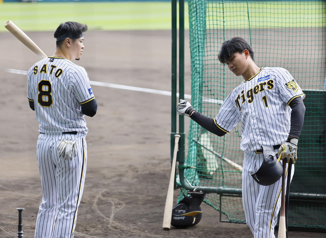 打撃練習の合間に話をする阪神佐藤輝（左）と森下（撮影・藤尾明華）