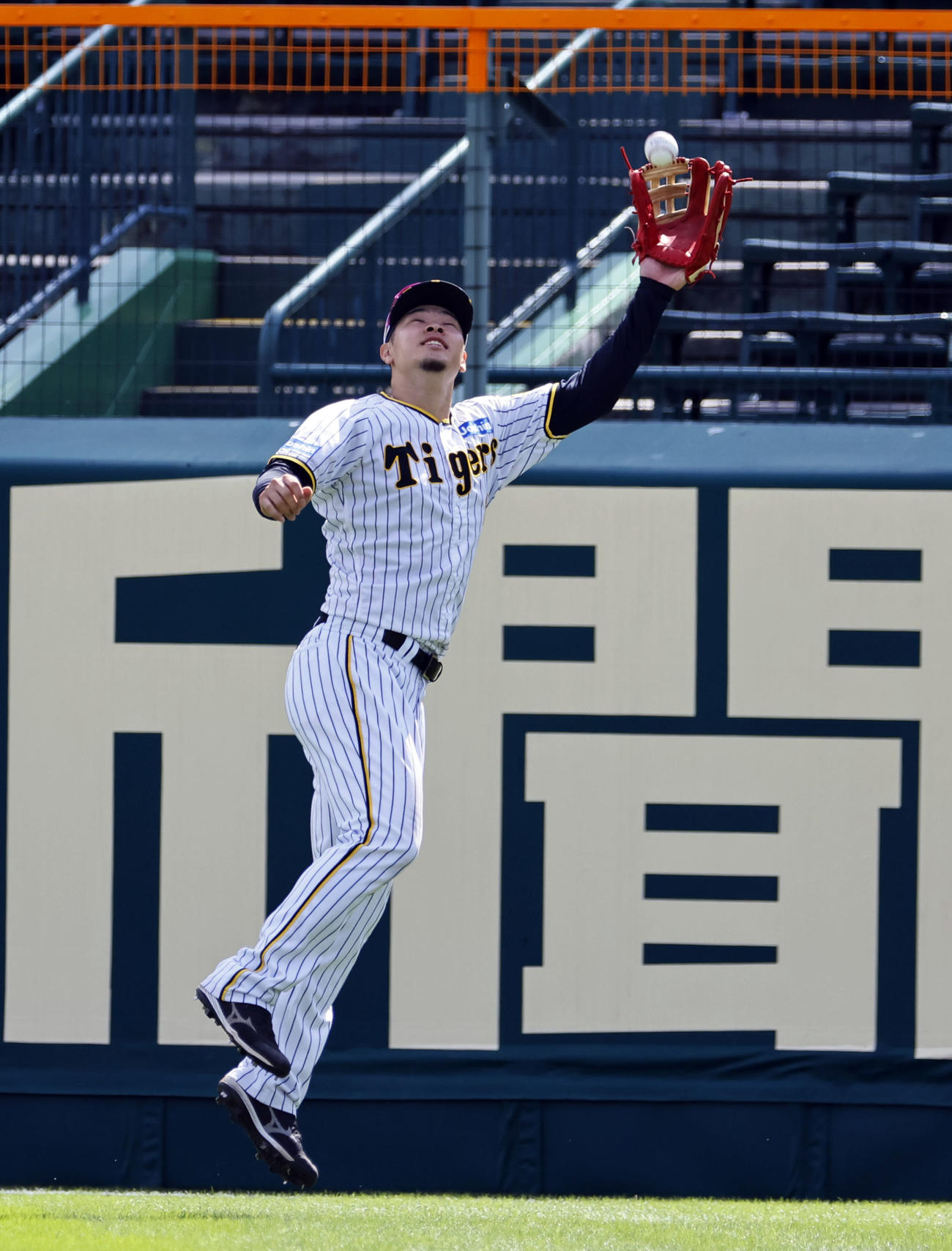 右翼位置で球拾いをする阪神佐藤輝（撮影・藤尾明華）