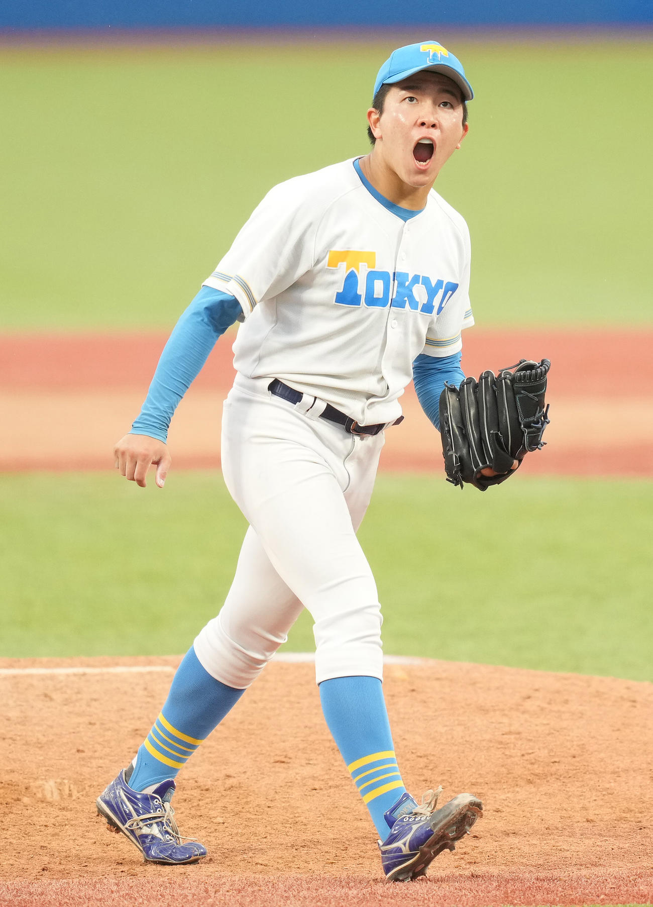 法大対東大　8回表を抑え、雄たけびを上げる東大・松岡（撮影・鈴木みどり）