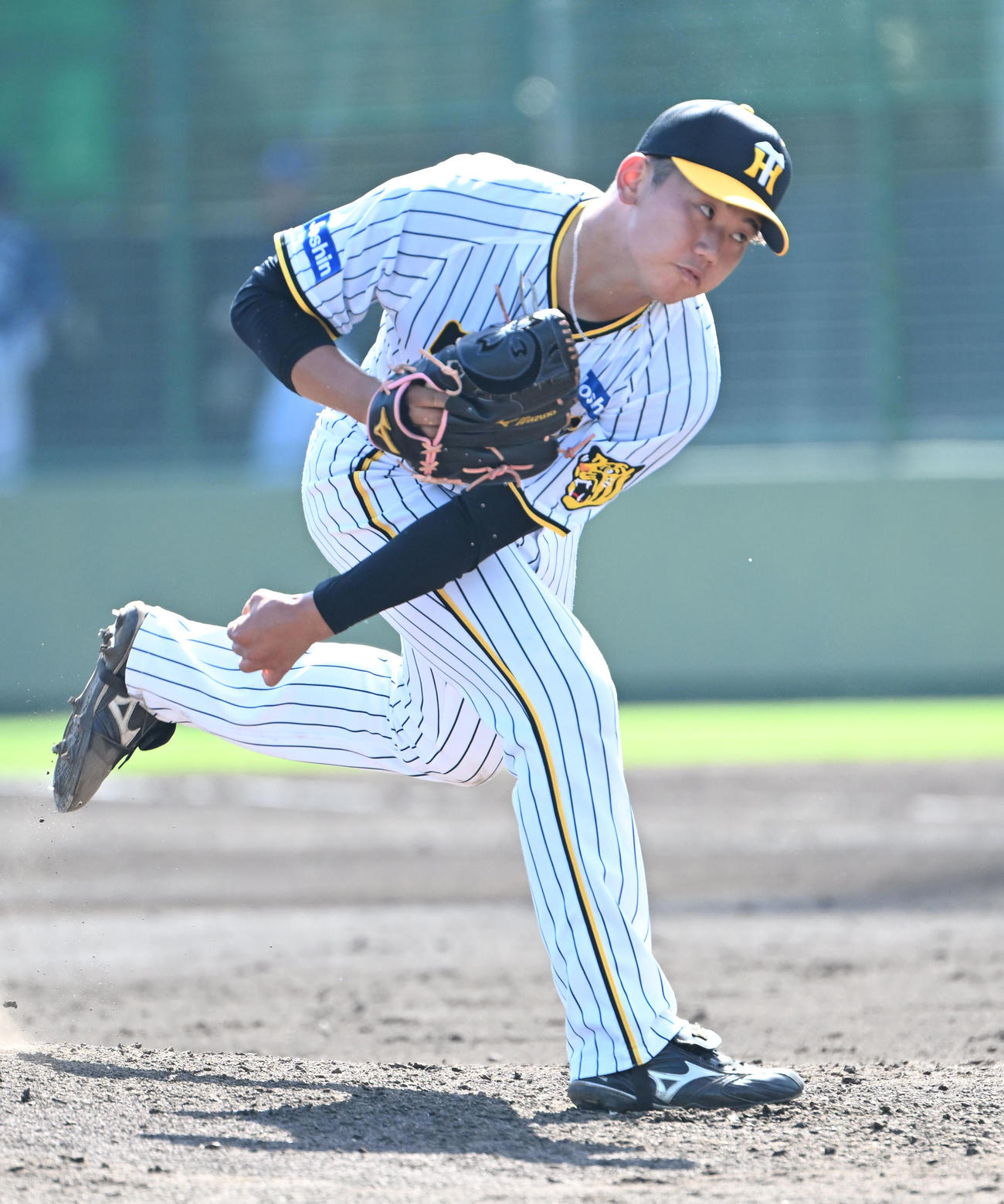 阪神門別啓人（2023年7月11日撮影）