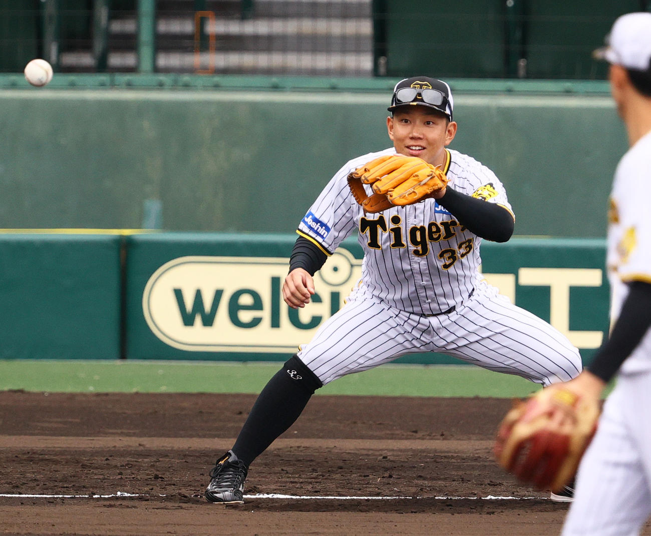 シートノックで送球を受ける阪神糸原（練習影・上山淳一）