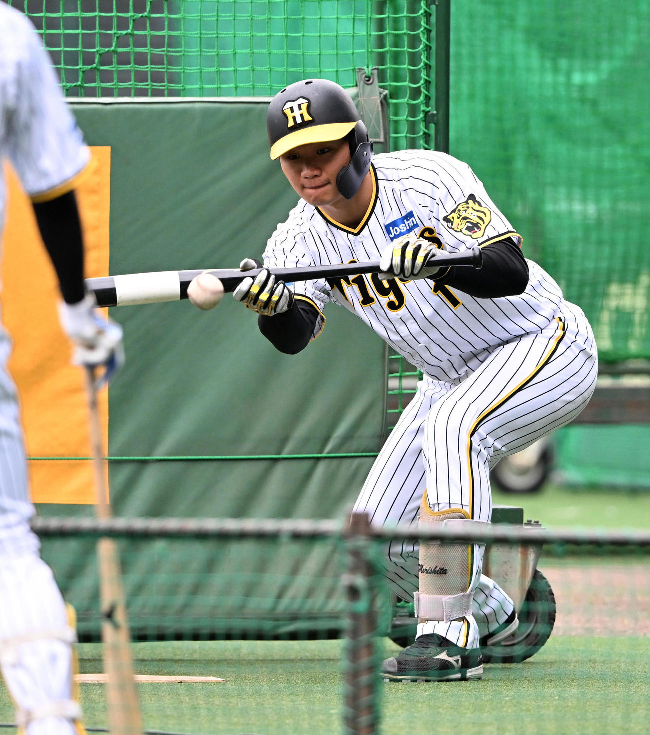バント練習を行う森下（撮影・前岡正明）