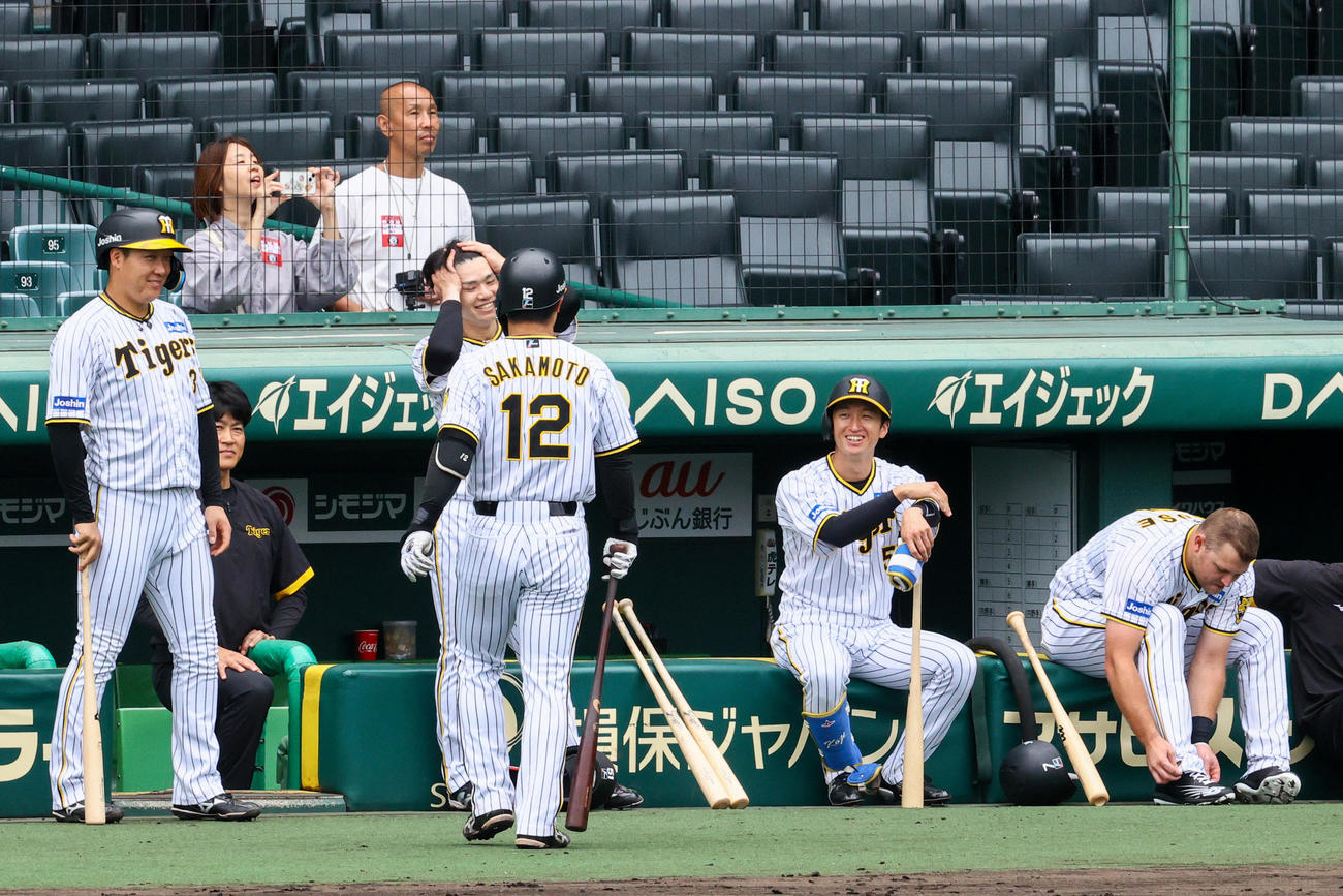 ベンチ前でで笑顔を見せる、左から大山、中野、坂本、近本、ノイジー（撮影・上山淳一）