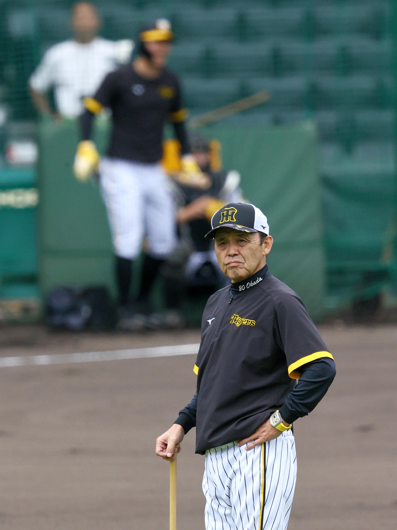 阪神岡田監督（手前）はフリー打撃する阪神佐藤輝の打球を確認する（撮影・上山淳一）