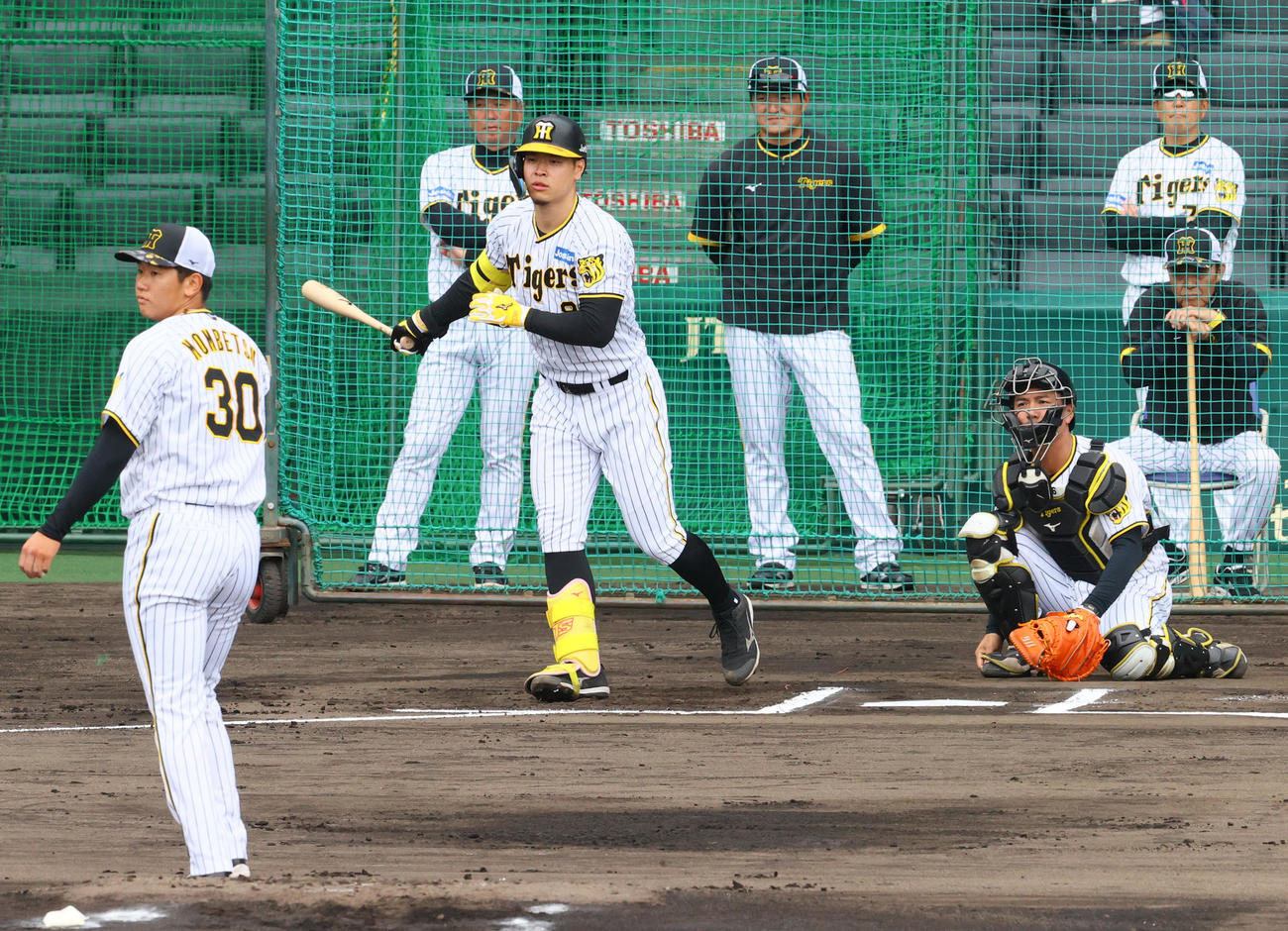 実践形式で打撃する佐藤輝。手前は門別、右は阪神岡田監督（撮影・上山淳一）