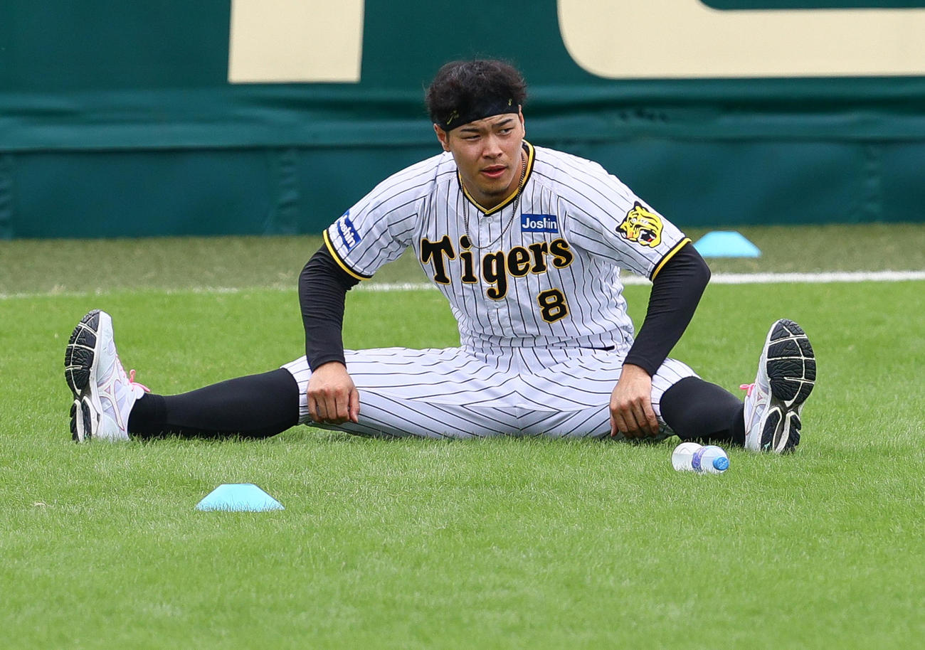 練習に励む阪神佐藤輝（撮影・上山淳一）